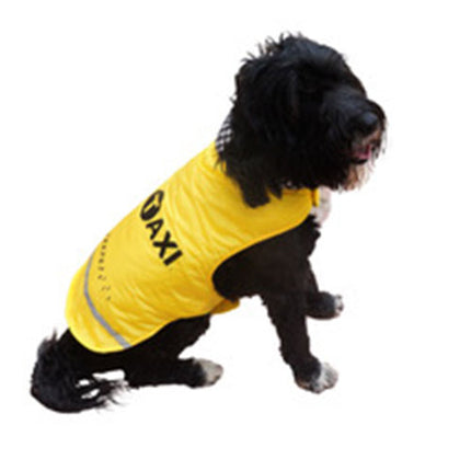 Taxi Dog Overcoat