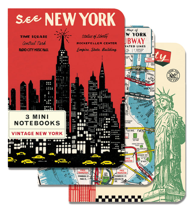 3 Mini Notebooks