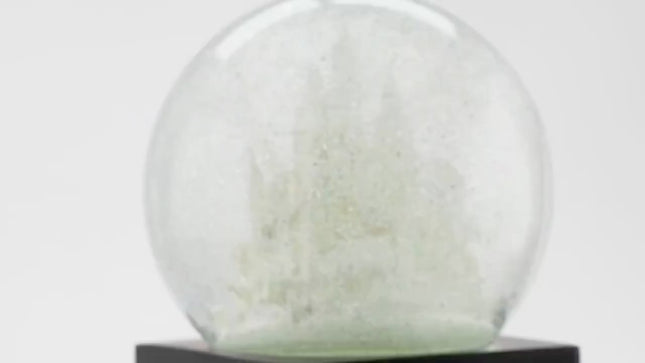 NYC Snow Globe